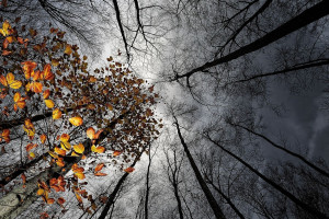 数据帝出品！英雄联盟选手多维度榜单，惊喜不断！