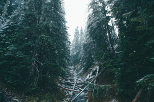 NBA 合同榜：从默默无闻到身价亿万，一份合同改变人生！